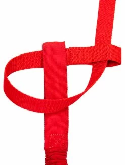 Sangle à Dégagement Rapide Pour Harnais TowWhee -Remorque vélo importe boutique TowWhee QuickRelease QR RED 052NUtIx3ZNI0BmK